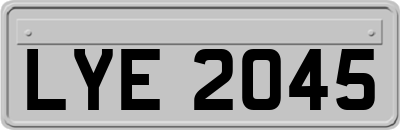 LYE2045