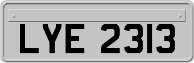 LYE2313
