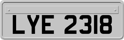 LYE2318