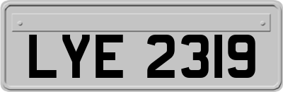 LYE2319