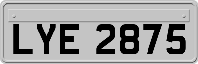 LYE2875