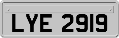 LYE2919