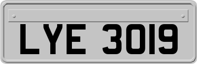 LYE3019