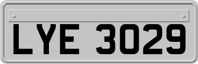LYE3029