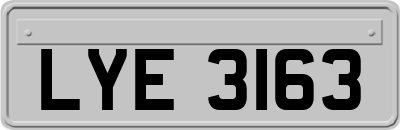 LYE3163