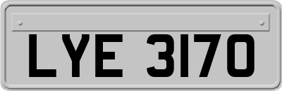 LYE3170