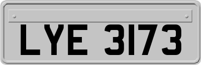 LYE3173