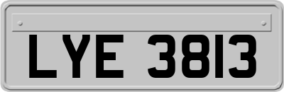 LYE3813