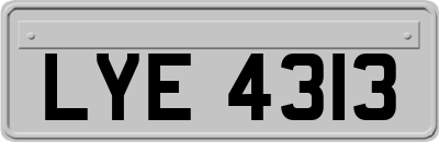 LYE4313