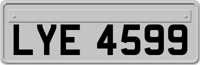 LYE4599