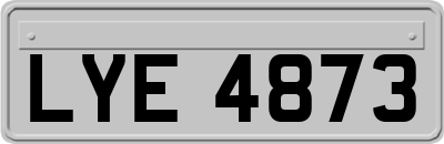 LYE4873