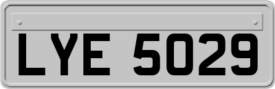 LYE5029