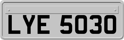 LYE5030