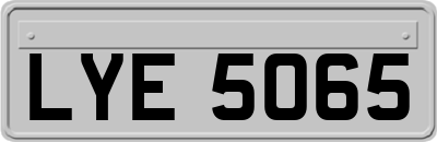 LYE5065