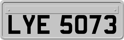 LYE5073