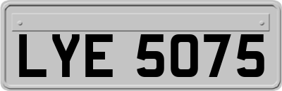 LYE5075