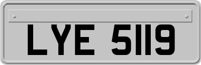 LYE5119