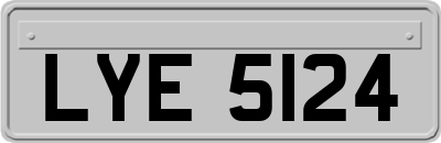 LYE5124