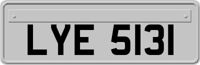 LYE5131
