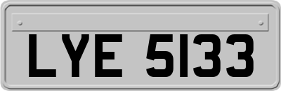 LYE5133