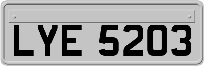 LYE5203