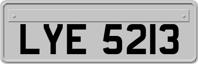 LYE5213