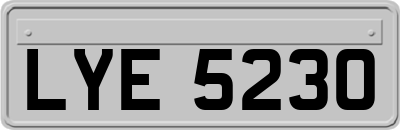 LYE5230
