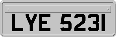 LYE5231