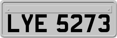 LYE5273