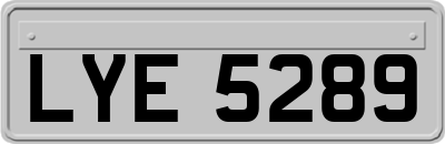LYE5289