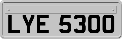 LYE5300