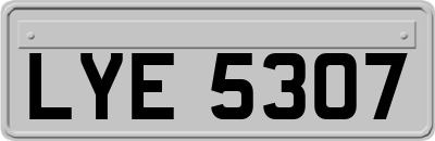 LYE5307