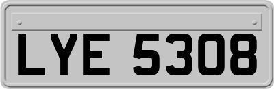 LYE5308