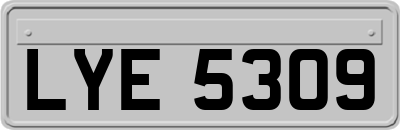 LYE5309