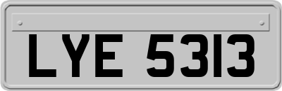 LYE5313