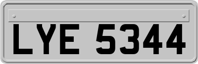 LYE5344