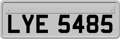 LYE5485