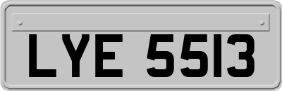 LYE5513