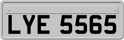 LYE5565