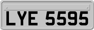 LYE5595