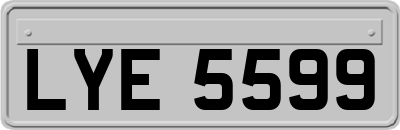 LYE5599