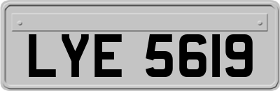 LYE5619