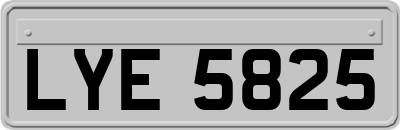 LYE5825