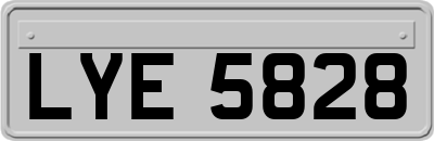 LYE5828