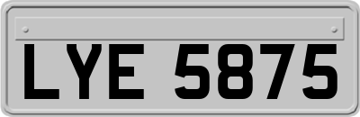 LYE5875