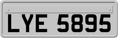 LYE5895