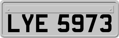 LYE5973