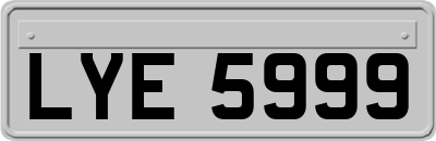 LYE5999