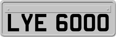 LYE6000