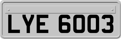 LYE6003